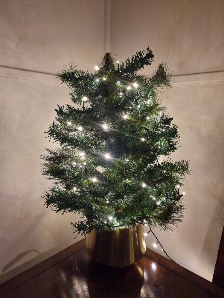 20231209_211740.jpg 20231209_211740.jpg