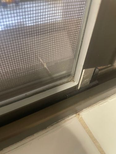 IMG_6003.jpeg IMG_6003.jpeg