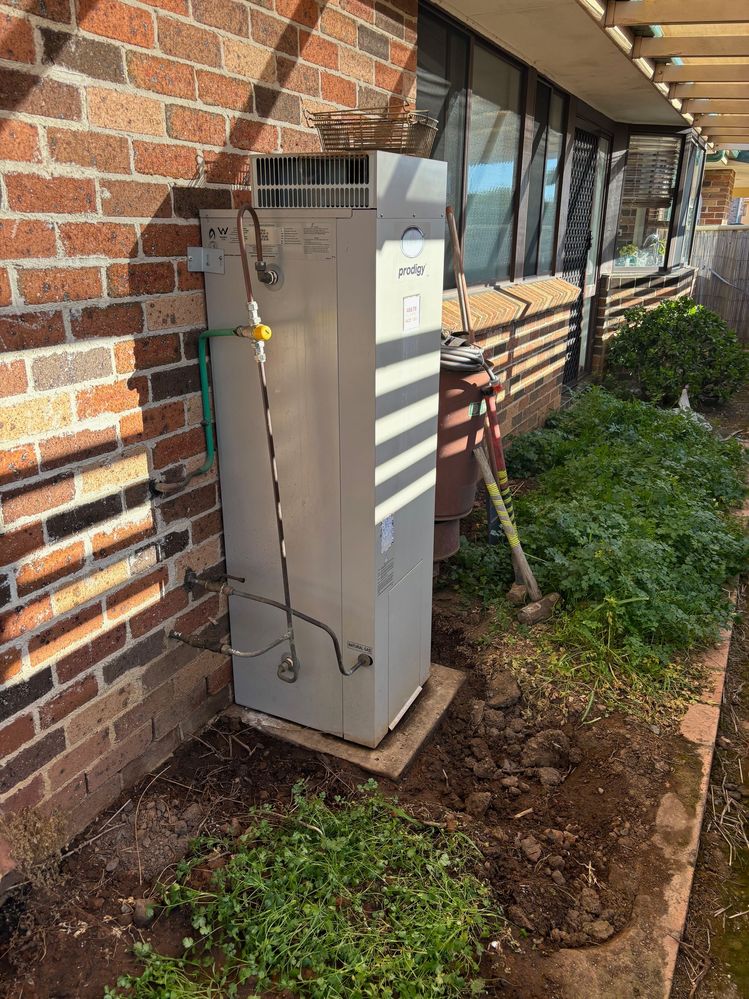 IMG_4441.jpg IMG_4441.jpg