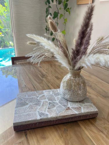 IMG_8101.jpeg IMG_8101.jpeg