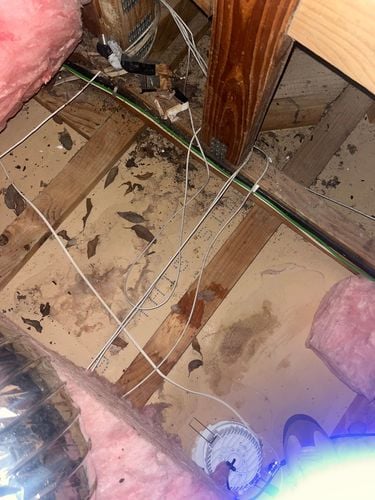 IMG_9354.jpeg IMG_9354.jpeg