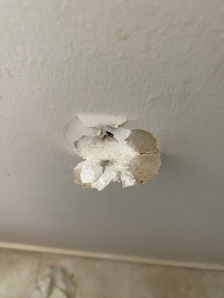 ad909b33-e532-4e5a-a89f-1eeeb71898fe.jfif ad909b33-e532-4e5a-a89f-1eeeb71898fe.jfif