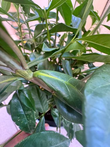 IMG_0913.jpeg IMG_0913.jpeg