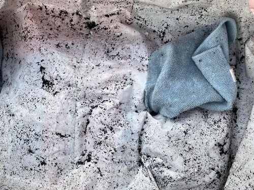 34C5EDD2-F1C0-4A1E-887A-A8DFA06744CD.jpeg 34C5EDD2-F1C0-4A1E-887A-A8DFA06744CD.jpeg