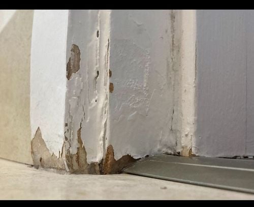 IMG_9228.jpeg IMG_9228.jpeg