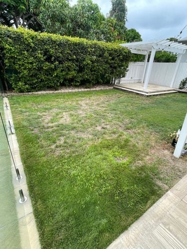 IMG_0790.jpeg IMG_0790.jpeg