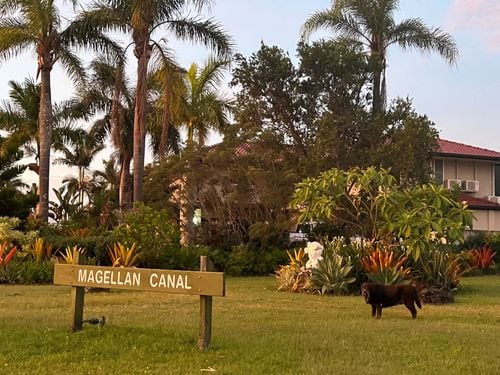 IMG_5948.jpeg IMG_5948.jpeg