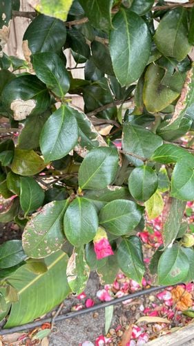 IMG_0916.jpeg IMG_0916.jpeg