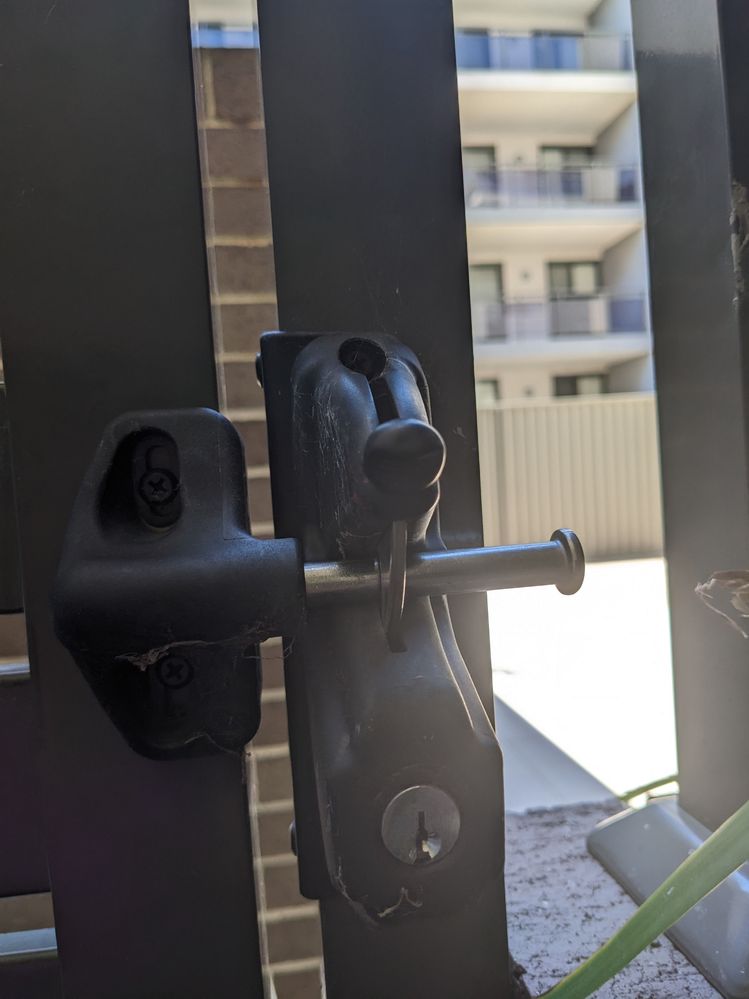 PXL_20221226_040534203.jpg PXL_20221226_040534203.jpg