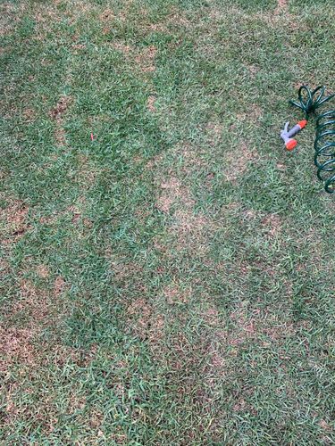 NateZheng_1-1695041704939.jpeg NateZheng_1-1695041704939.jpeg