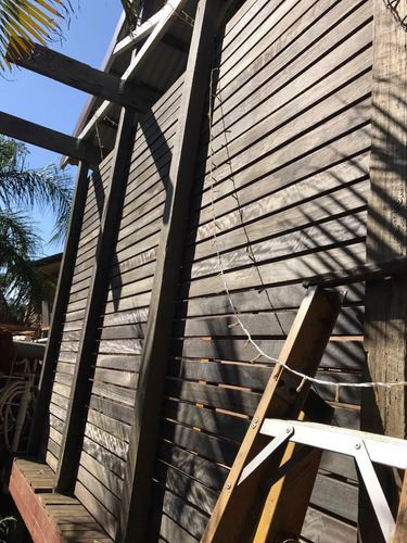 31 15-12-2024.jpg 31 15-12-2024.jpg