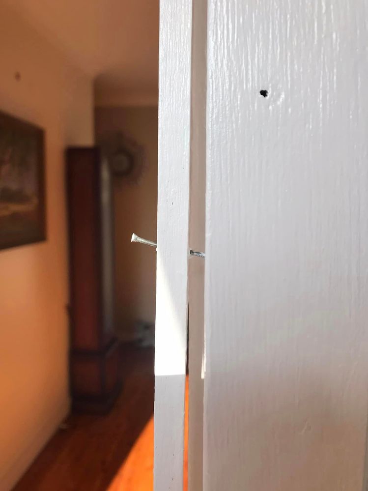 45 04-09-2023.jpg 45 04-09-2023.jpg