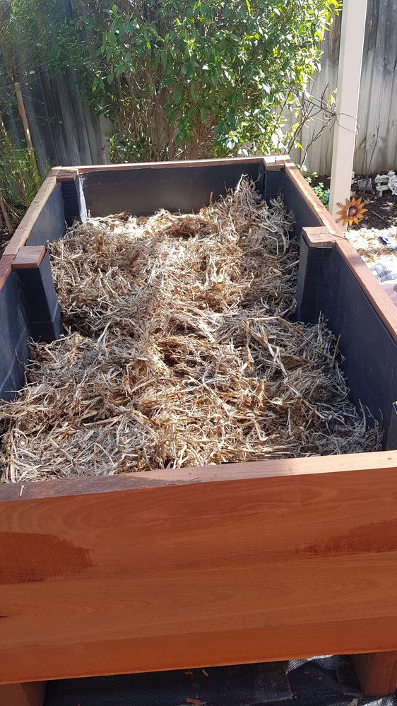 20200511_115547.jpg 20200511_115547.jpg