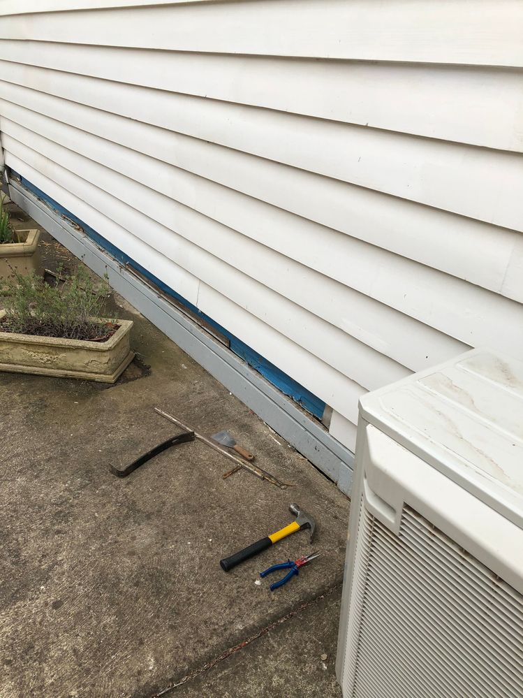 IFJA8008DD.JPG IFJA8008DD.JPG