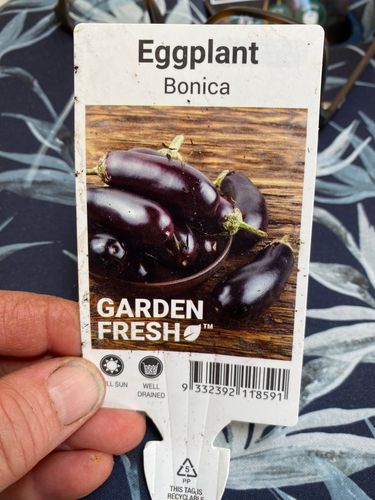 7AB845E1-AD3A-4673-A1E0-EA7083309541.jpeg 7AB845E1-AD3A-4673-A1E0-EA7083309541.jpeg