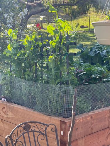 53E4BF60-2927-4AF5-8910-08631F0A5445.jpeg 53E4BF60-2927-4AF5-8910-08631F0A5445.jpeg