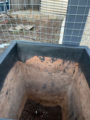 IMG_4436.jpeg IMG_4436.jpeg