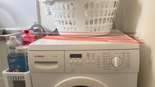 IMG_6144.jpeg IMG_6144.jpeg