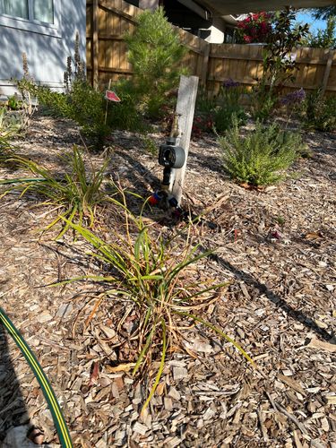 IMG_3680.jpeg IMG_3680.jpeg