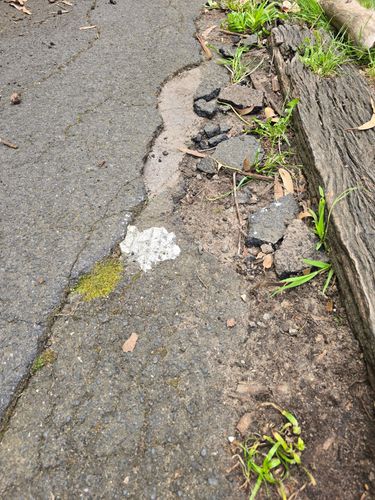 1000059788.jpg 1000059788.jpg