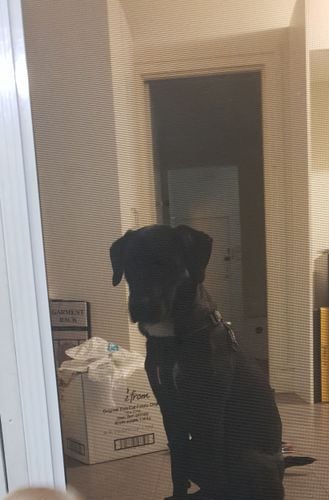 20200324_073750.jpg 20200324_073750.jpg