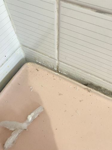 IMG_3247.jpeg IMG_3247.jpeg