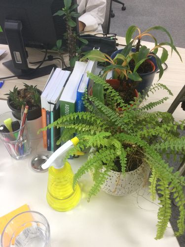 IMG_4367.jpg IMG_4367.jpg