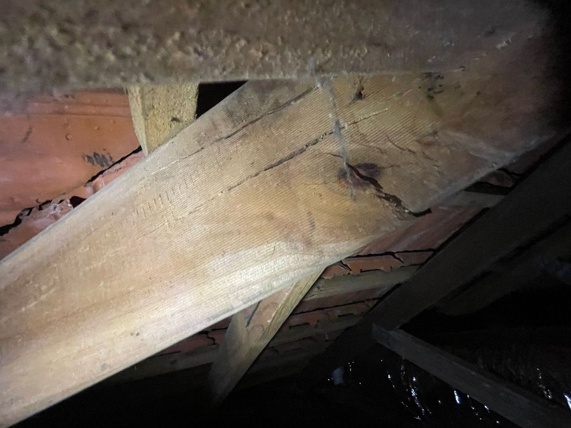 IMG_6880.jpg IMG_6880.jpg