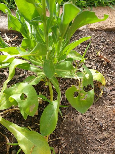 16974072101008665547502326396952.jpg 16974072101008665547502326396952.jpg