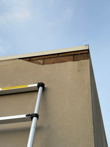 IMG_7162.jpeg IMG_7162.jpeg