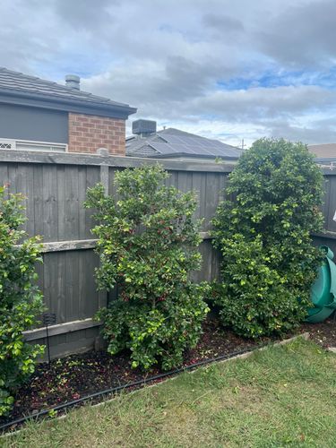 IMG_9610.jpeg IMG_9610.jpeg