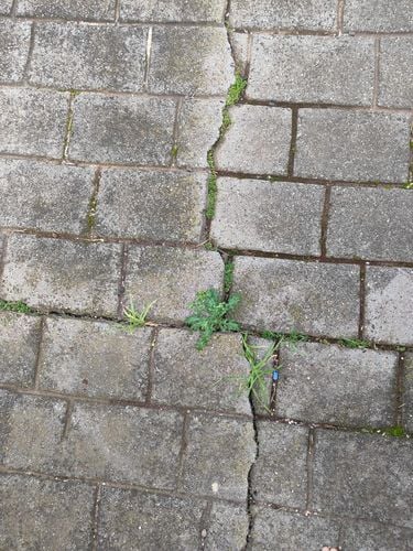 1000078901.jpg 1000078901.jpg