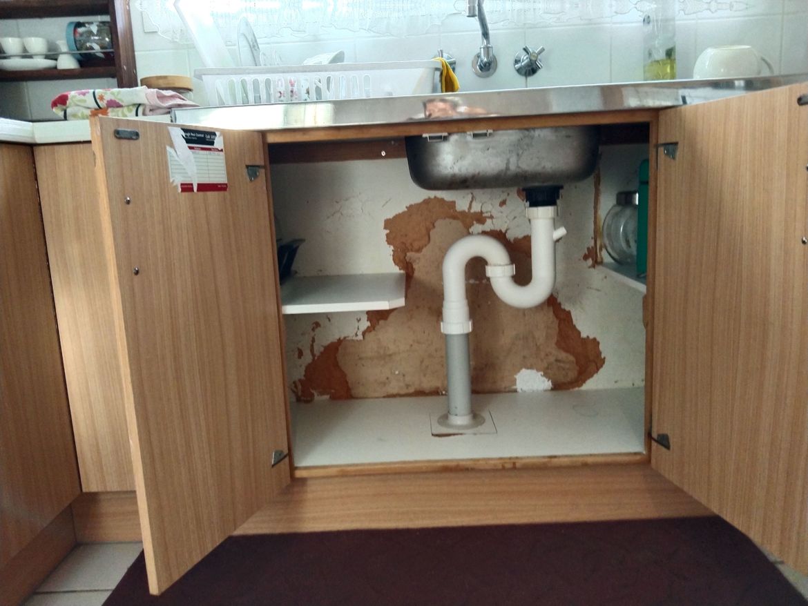 IMG_20250117_063354.jpg IMG_20250117_063354.jpg