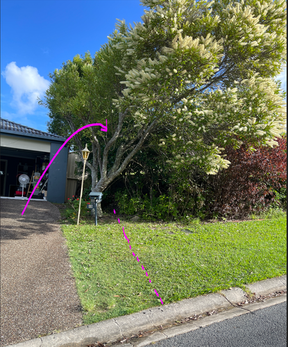 Sugar_0-1738187400562.png Sugar_0-1738187400562.png