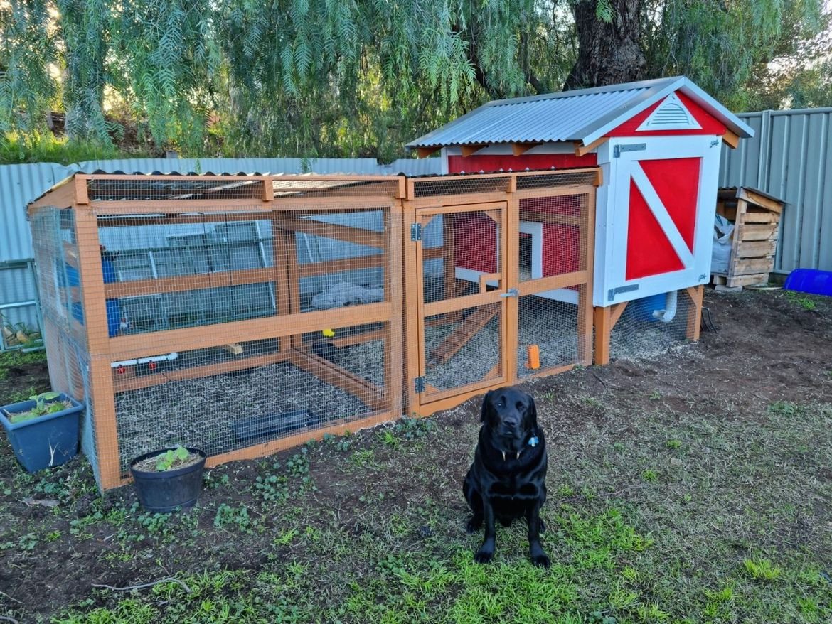 20220521_155701.jpg 20220521_155701.jpg