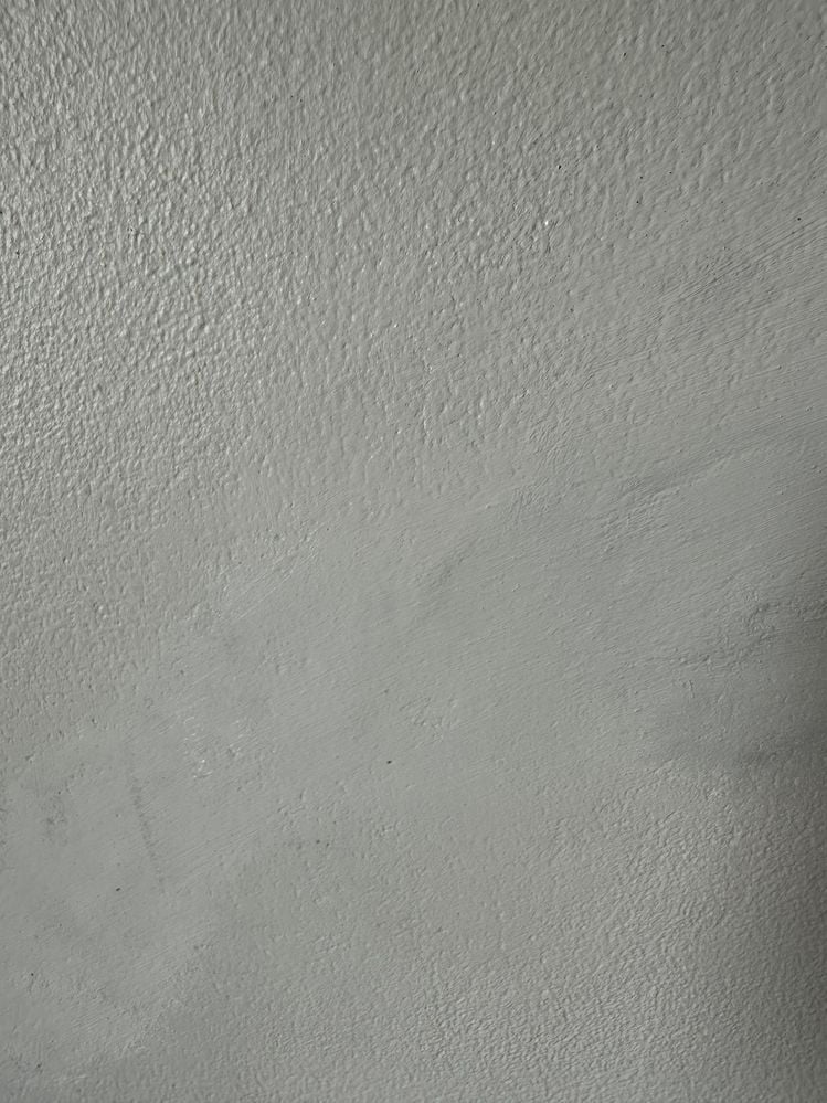 IMG_9498.jpeg IMG_9498.jpeg