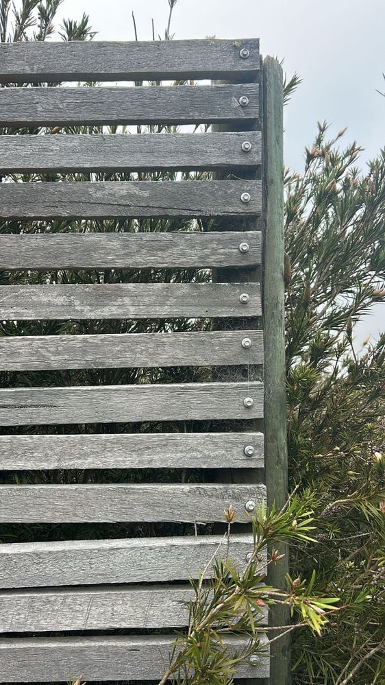 919980a4-0504-43c2-90a3-758040cf150d.jpeg 919980a4-0504-43c2-90a3-758040cf150d.jpeg