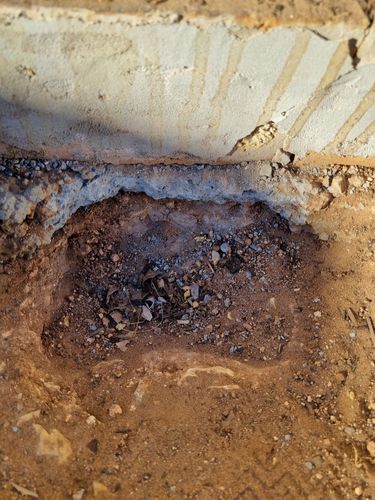 20240218_084321.jpg 20240218_084321.jpg