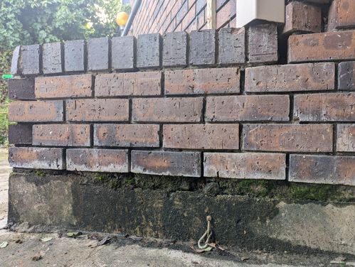 PXL_20230705_010127421.MP.jpg PXL_20230705_010127421.MP.jpg