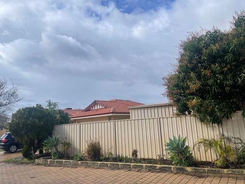 IMG_1926.jpeg IMG_1926.jpeg