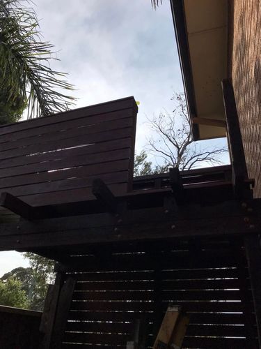 21 14-12-2024.jpg 21 14-12-2024.jpg