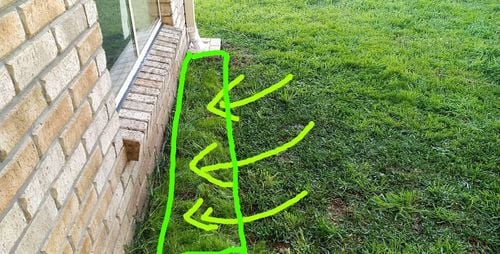 signal-2021-08-27-180135.jpg signal-2021-08-27-180135.jpg