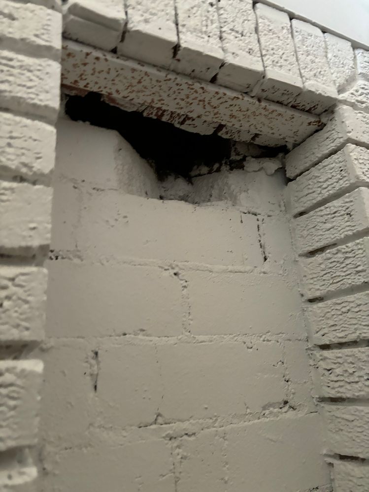 IMG_2550.jpeg IMG_2550.jpeg