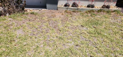 1000103636.jpg 1000103636.jpg