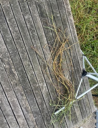 IMG_6215.jpg IMG_6215.jpg