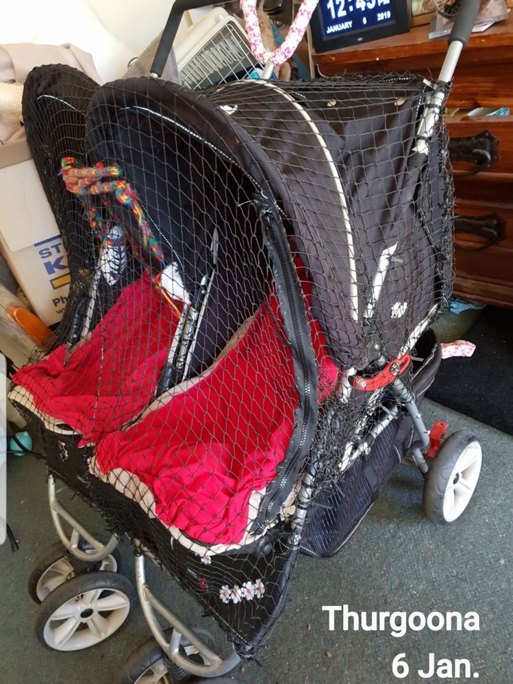 20190602_225628.jpg 20190602_225628.jpg