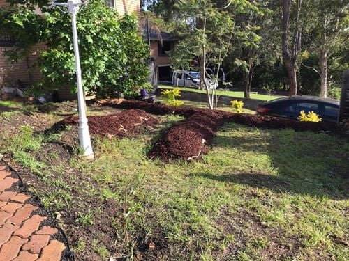 116 05-11-2022.jpg 116 05-11-2022.jpg