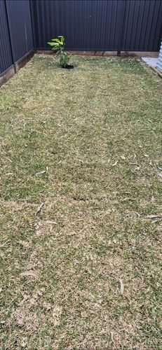 1000019550.jpg 1000019550.jpg