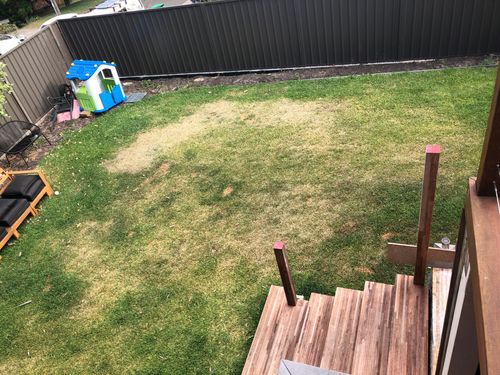 B09645EC-2016-4CBF-9E96-AA789AF65011.jpeg B09645EC-2016-4CBF-9E96-AA789AF65011.jpeg