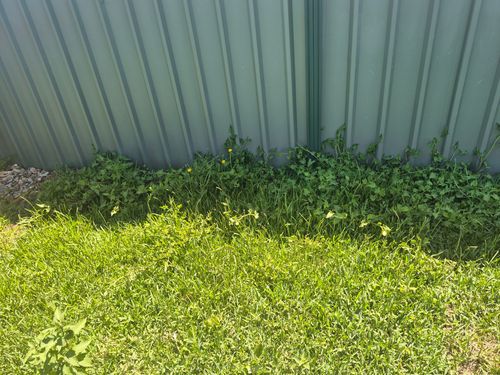 1000027215.jpg 1000027215.jpg